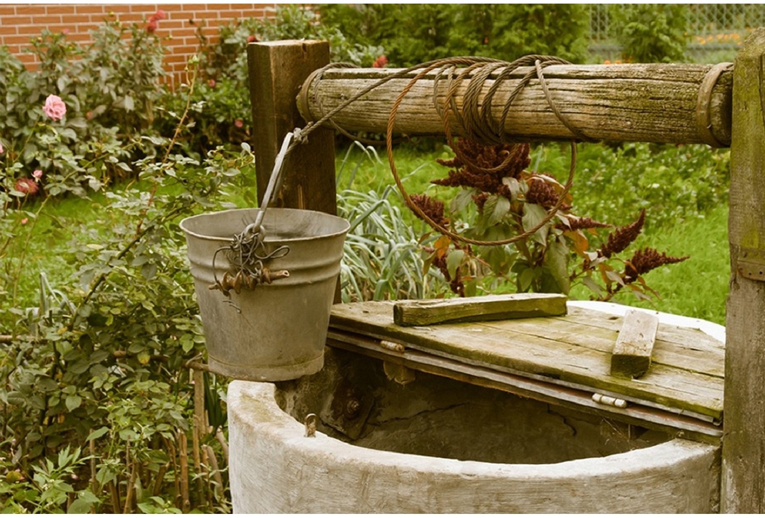 Czy najzdrowsza jest woda ze studni?