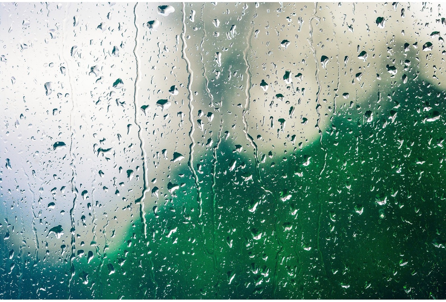 Filtr sznurkowy czy piankowy?